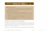Aula 6 | Cultura do feijão – Phaseolus vulgaris L. – II