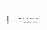 Campos vetoriais - UFPel