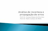 Prof. Dr. Gustavo Roque da Silva Assi Prof. Dr. Pedro ...