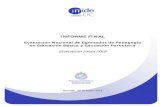 Informe Final INICIA 2009 PL 24012011 - Mineduc