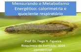 Mensurando o Metabolismo Energético: calorimetria e ...