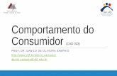 Comportamento do Consumidor (CAD 023)