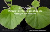 LFT-5880 Módulo: Controle genético de doenças de plantas