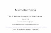 Prof. Fernando Massa Fernandes