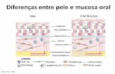 Diferenças entre pele e mucosa oral - Luciana Correa