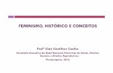 FEMINISMO, HISTÓRICO E CONCEITOS - Santa Catarina