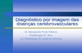 Diagnóstico por imagem das doenças cerebrovasculares