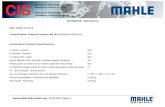 Sistema de informação para clientes - MAHLE Aftermarket