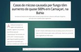 Epidemiologia e impactos da - crmvba.org.br
