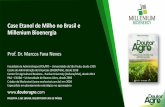 Case Etanol de Milho no Brasil e Millenium Bioenergia