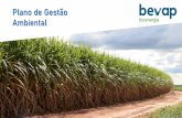 Plano de Gestão Ambiental - bevapbioenergia.com.br
