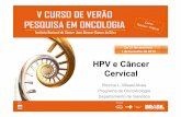 HPV e Câncer Cervical - bvsms.saude.gov.br