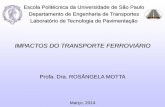 IMPACTOS DO TRANSPORTE FERROVIÁRIO