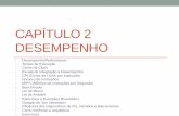 CAPÍTULO 2 DESEMPENHO