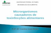 UNIVERSIDADE FEDERAL DO PAMPA MICROBIOLOGIA DE …