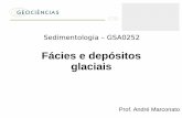 Fácies e depósitos glaciais - edisciplinas.usp.br