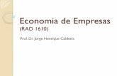 Economia de Empresas - University of São Paulo