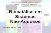 Biocatálise em Sistemas Não-Aquosos
