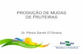 PRODUÇÃO DE MUDAS DE FRUTEIRAS - Embrapa