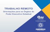 TRABALHO REMOTO - Pernambuco