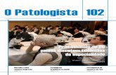 O Patologista 102 - sbp.org.br