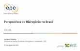Perspectivas do Hidrogênio no Brasil