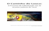 EBOOK O Caminho do Louco - CURSOS | LIVROS