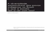 A diversidade sociocultural dos povos indígenas no Brasil ...