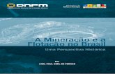 A Mineração e a Flotação no Brasil