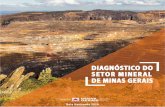 DIAGNÓSTICO DO SETOR - Minas Gerais