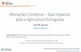 Alterações Climáticas Que impactos para a Agricultura ...