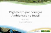 Pagamento por Serviços Ambientais no Brasil