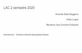 LAC 2 semestre 2020 Monitora: Ana Carolina Felizardo