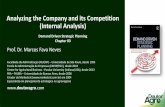Analyzing the Company and its Competition (Internal Analysis)