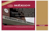 Guía de recursos para personas mexicanas en kansas y ...