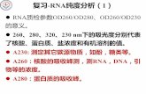 RNA质检参数OD260/OD280 OD260/OD230