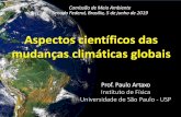 Prof. Paulo Artaxo Instituto de Física Universidade de São ...