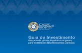 Guia de Investimento - ucm.minfin.gov.ao