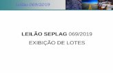 LEILÃO SEPLAG 069/2019 EXIBIÇÃO DE LOTES - Minas Gerais