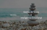 Gestão de Stress E Inteligência Emocional