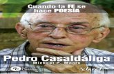 Pedro Casaldáliga - download.e-bookshelf.de