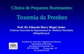 Toxemia da Prenhez - University of São Paulo
