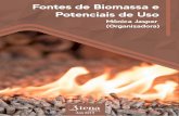Fontes de Biomassa e Potenciais de Uso