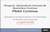 PNAD Contínua - Trimestres Móveis