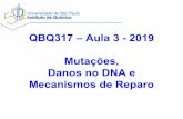 QBQ317 –Aula 3 -2019 Mutações, Danos no DNA e Mecanismos ...