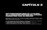 CAPÍTULO 3 - UNAE