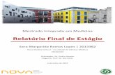 Relatório Final de Estágio - Universidade NOVA de Lisboa