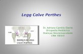 Legg Calve Perthes - edisciplinas.usp.br