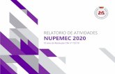 RELATÓRIO DE ATIVIDADES NUPEMEC 2020