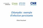Chlamydia : exemple d’infetion persistante